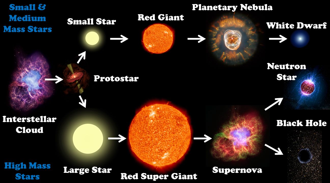 Сверхновая звезда эволюция. Схема эволюции звезд. Эволюция звезд протозвезда. Сверхновая звезда схема. Красный гигант и белый карлик.